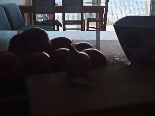 Apartamento con piscina en alquiler en Passeig Marítim Sant Joan de Déu 202, imagen 6