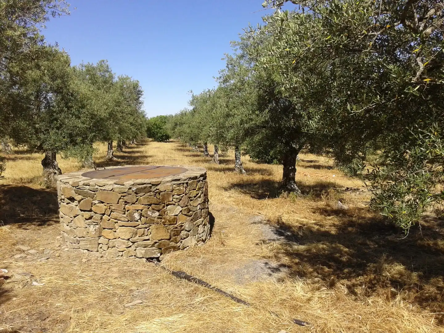 Terreni e lotti in vendita a Madroñera, imagen 2