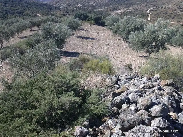 Lands and plots for sale in Bobadilla - Bobadilla Estación - La Joya