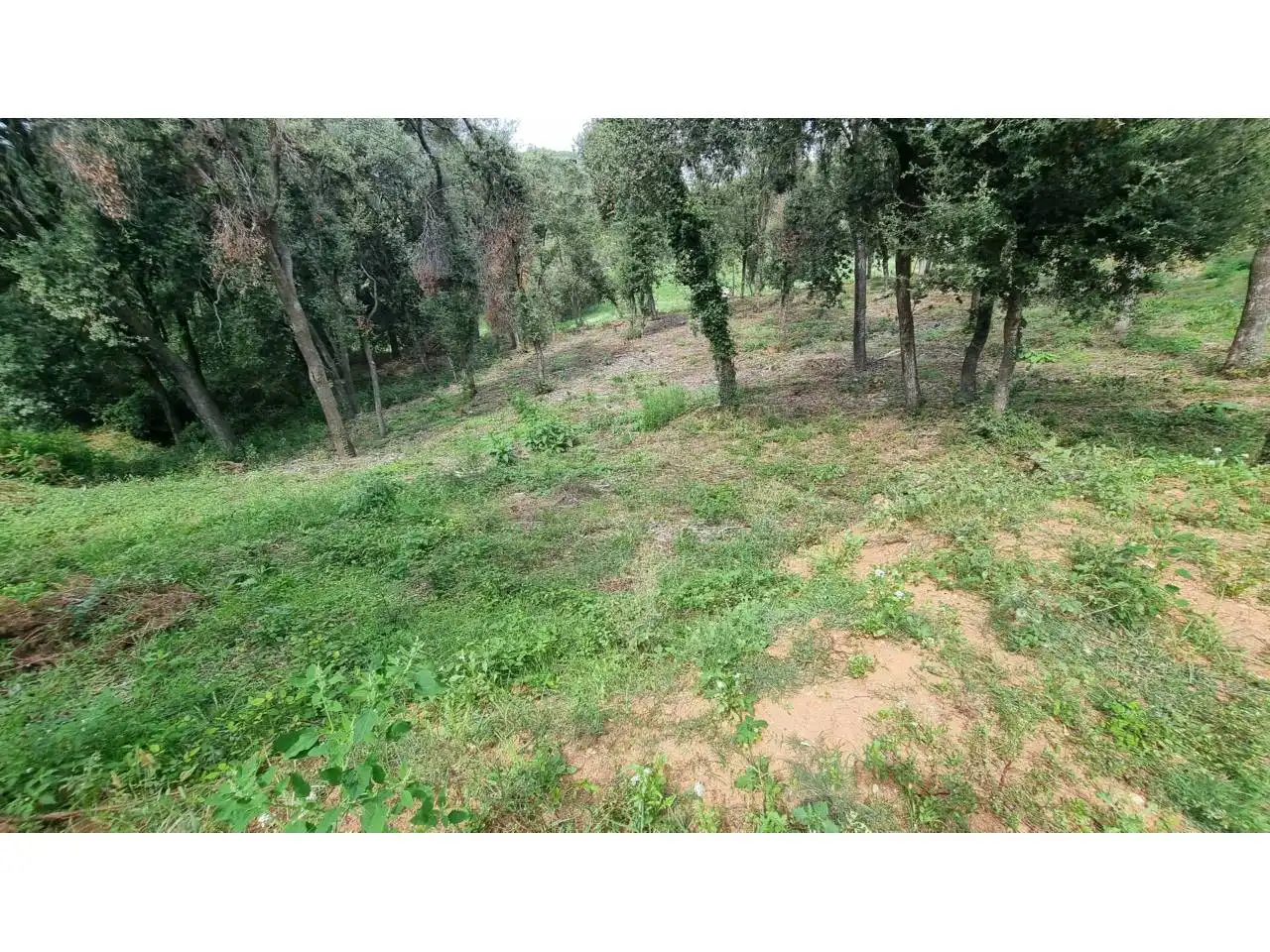Terreny residencial en venda a Calle Tórtora 145, imagen 7