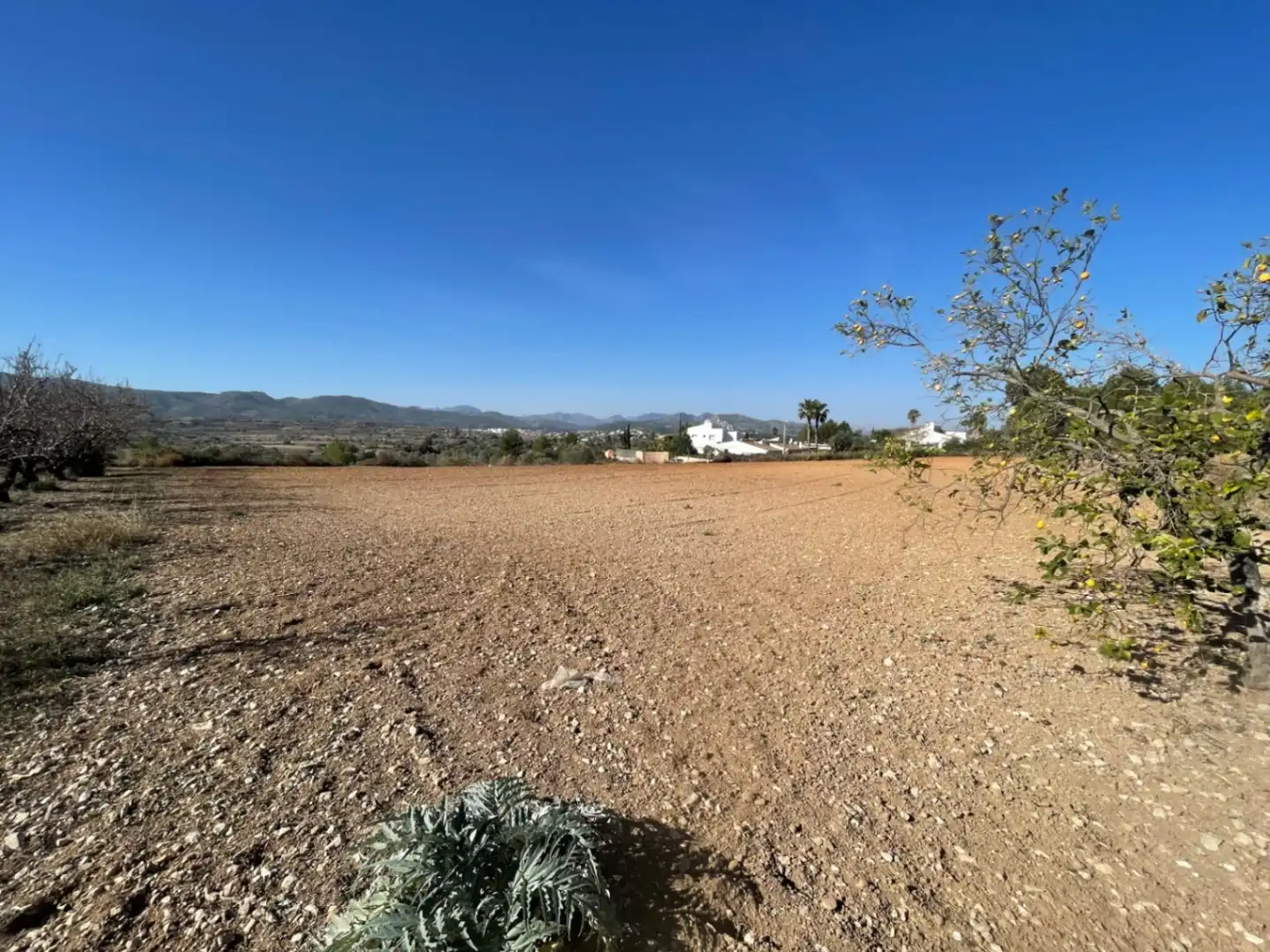 Houses for sale in Jávea / Xàbia