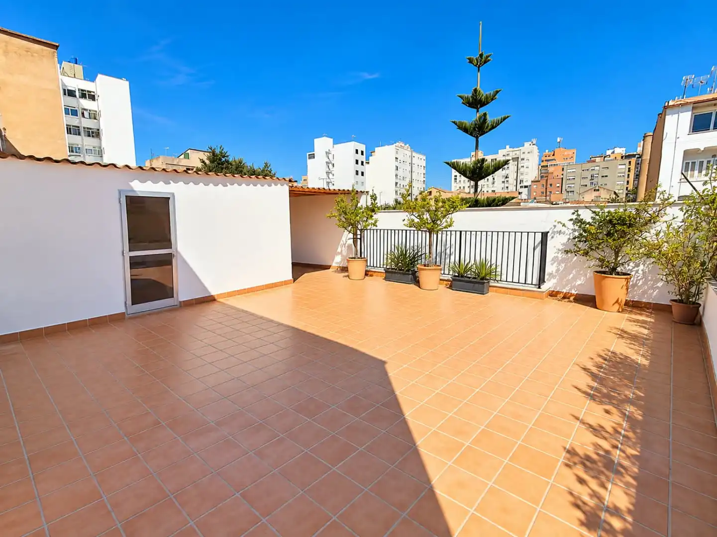 Àtic amb terrassa de lloguer a Palma de Mallorca - calle ferrriol 1, imagen 21