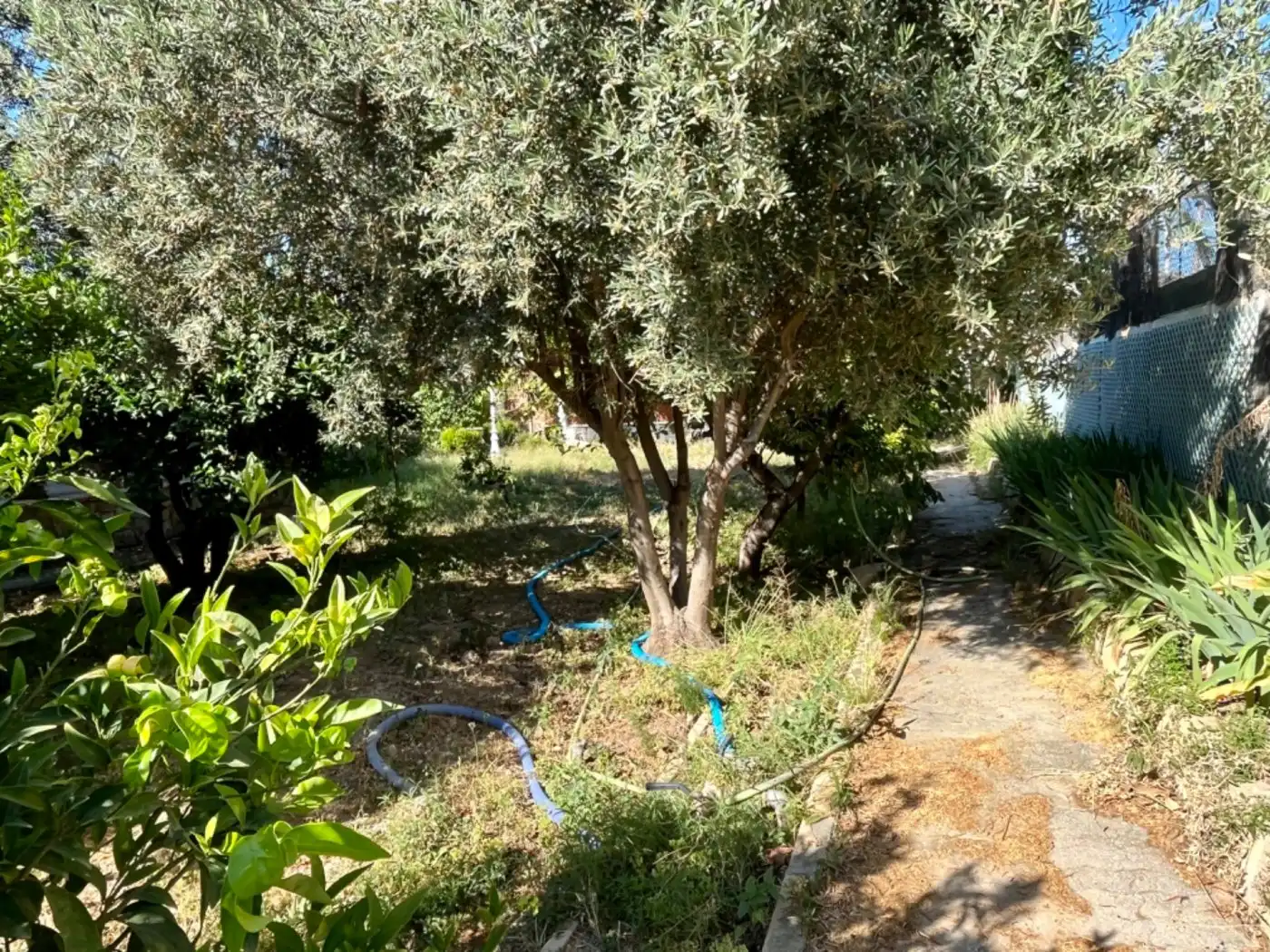 Villa avec terrasse à vendre à Elche ciudad, imagen 67