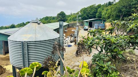 Photo 3 of Premises for sale in El Drago, Garachico, Santa Cruz de Tenerife