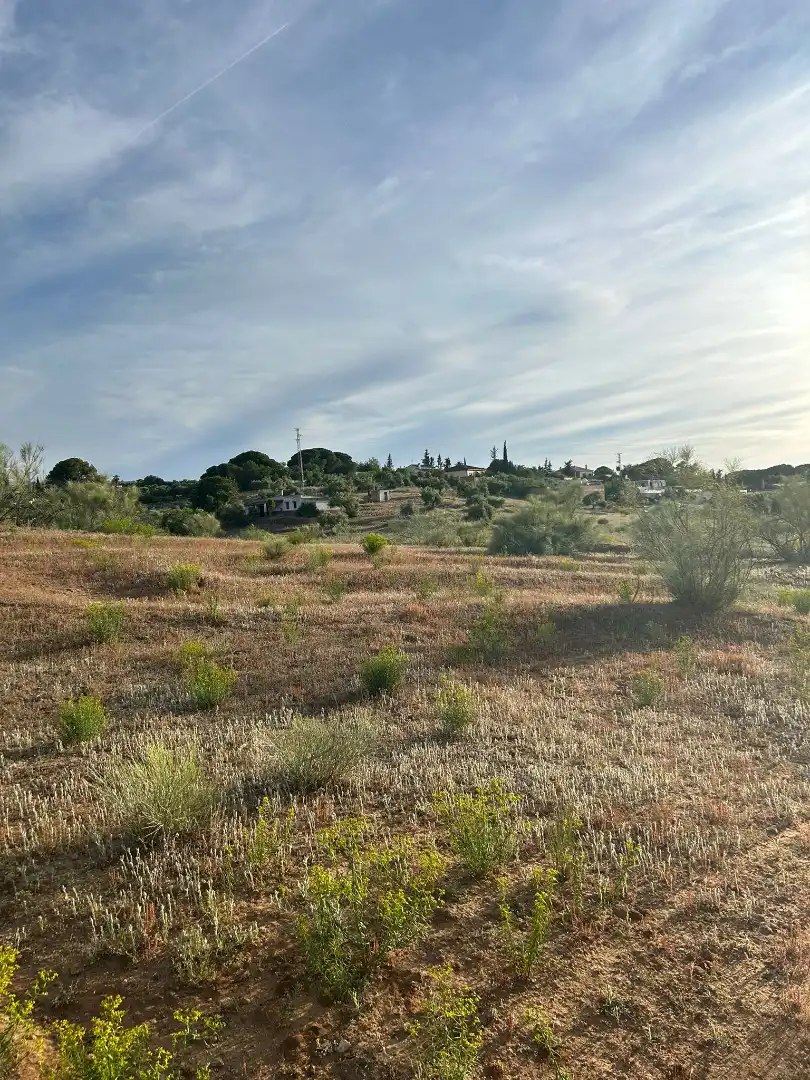 Terrain rustique à vendre à Arcos de la Frontera, imagen 3