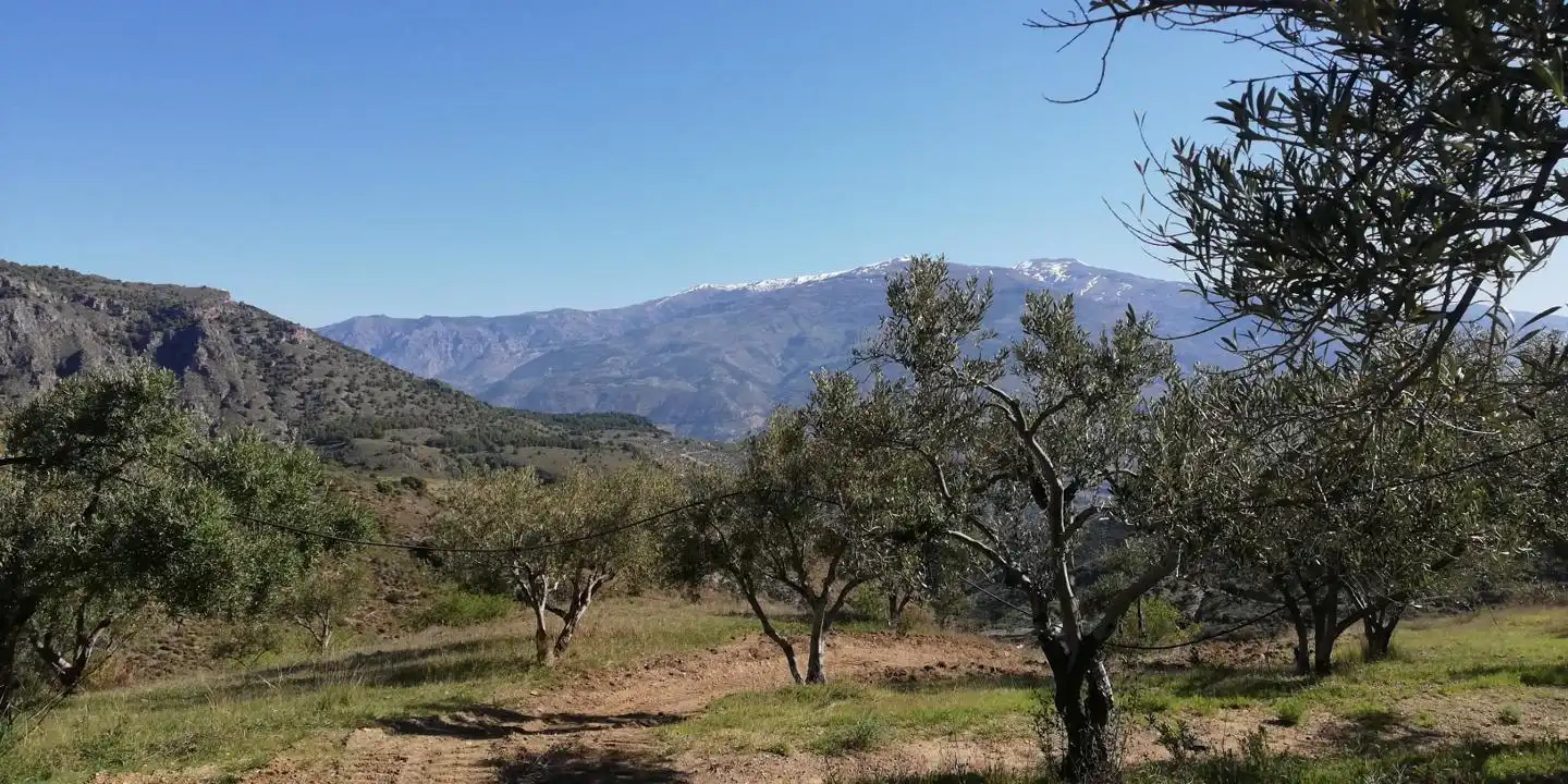 Casa rústica en venta en El Pinar, imagen 14