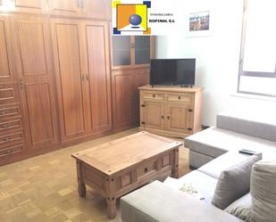 Living room of Flat to rent in Salamanca Capital  with Heating, Parquet flooring and Terrace