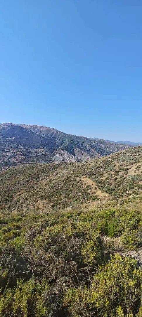 Rustikales Grundstück zum Verkauf in Pinos Genil, imagen 17