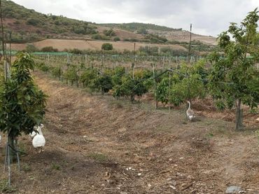 Wohnbaugrundstück zum Verkauf in Paterna de Rivera
