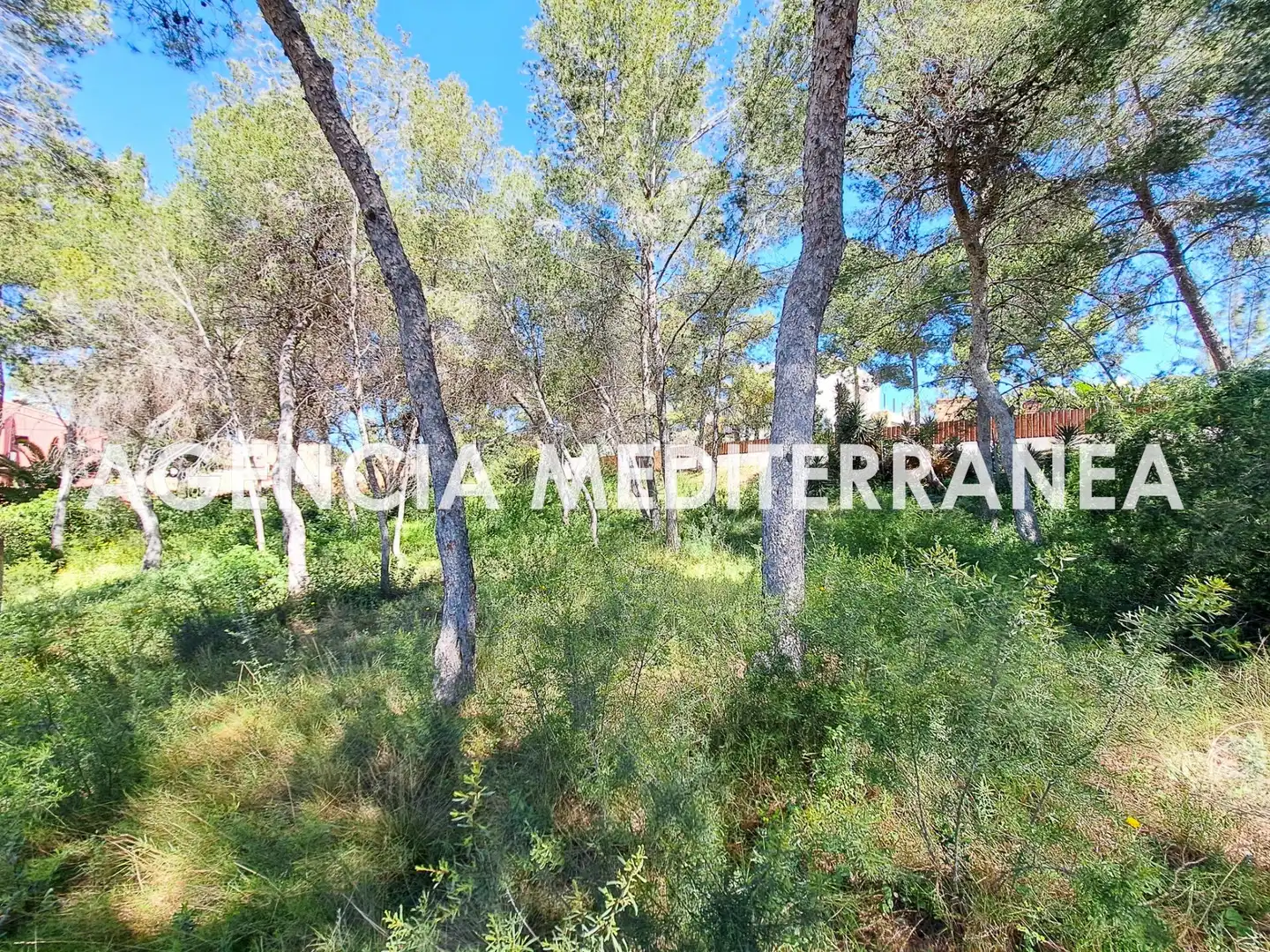 Terreny residencial en venda a La Cañada, imagen 9
