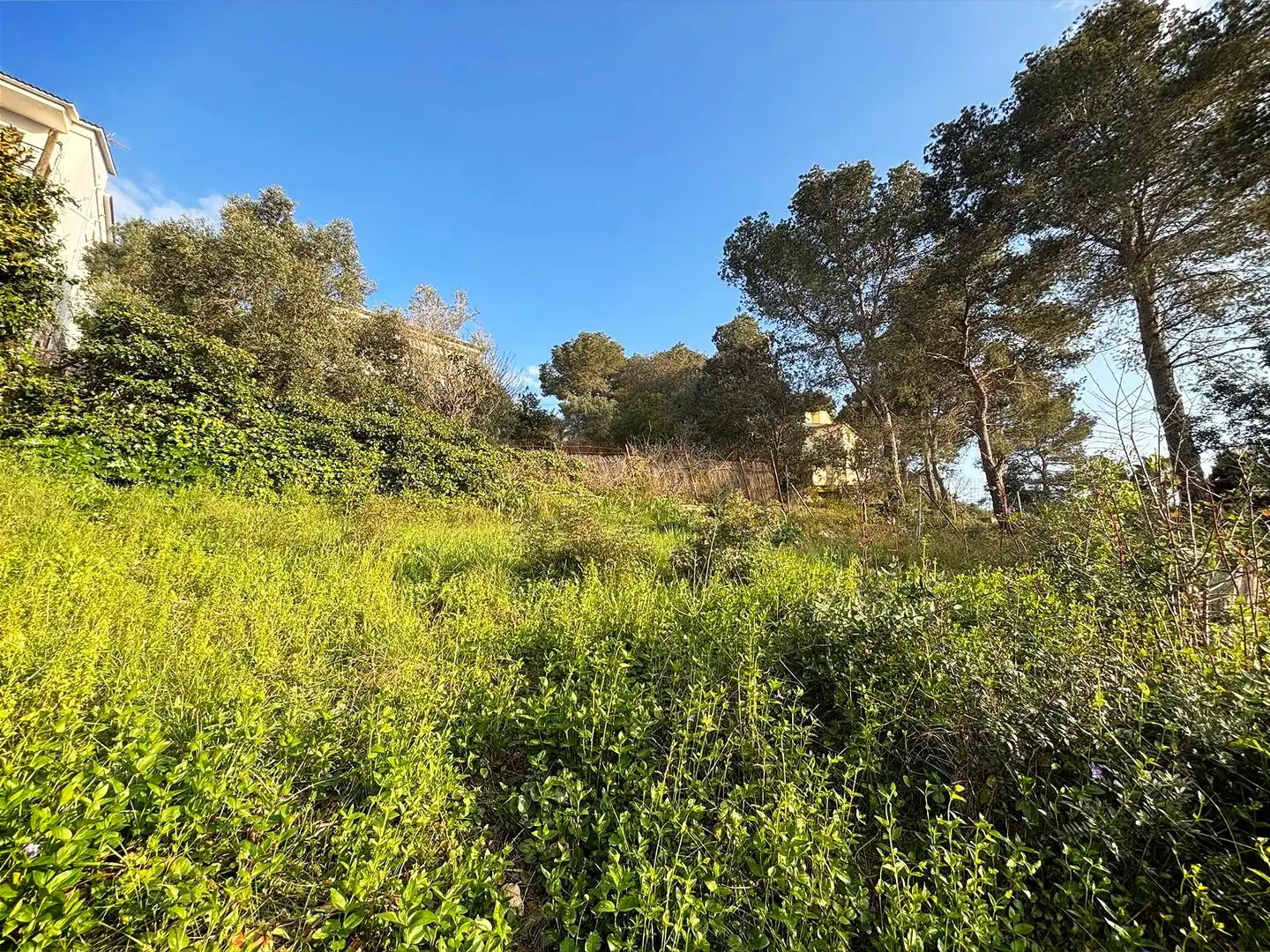 Terreno residencial en venta en Canyelles, imagen 18