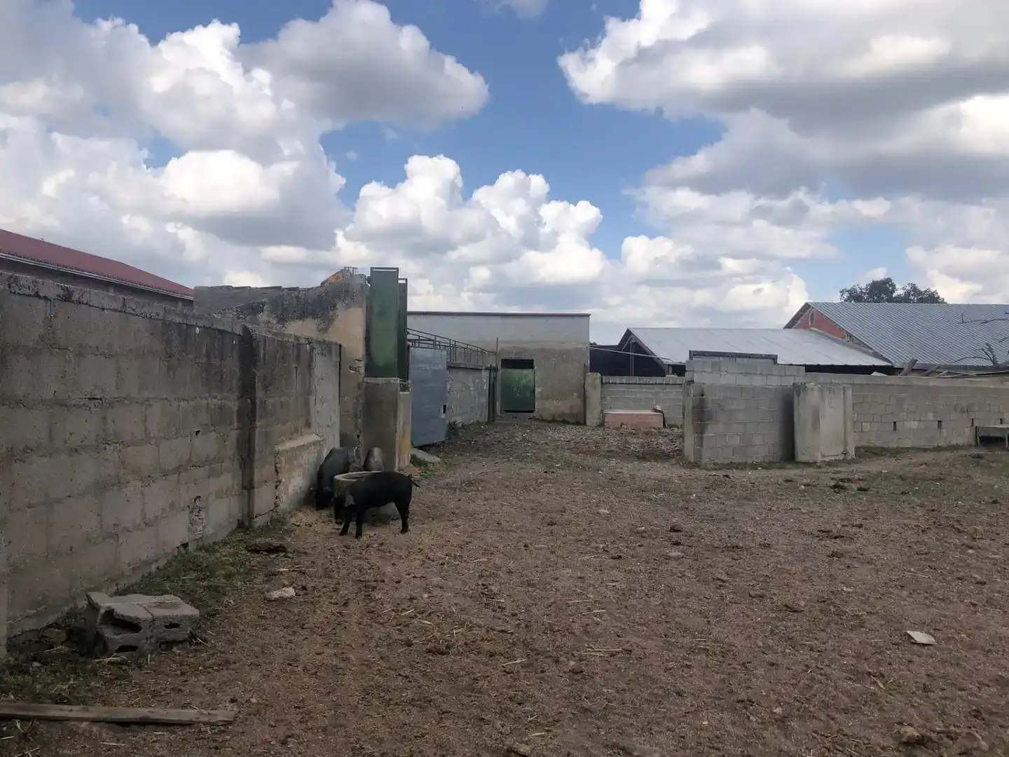 Terreno en venta en Fuentes de Oñoro