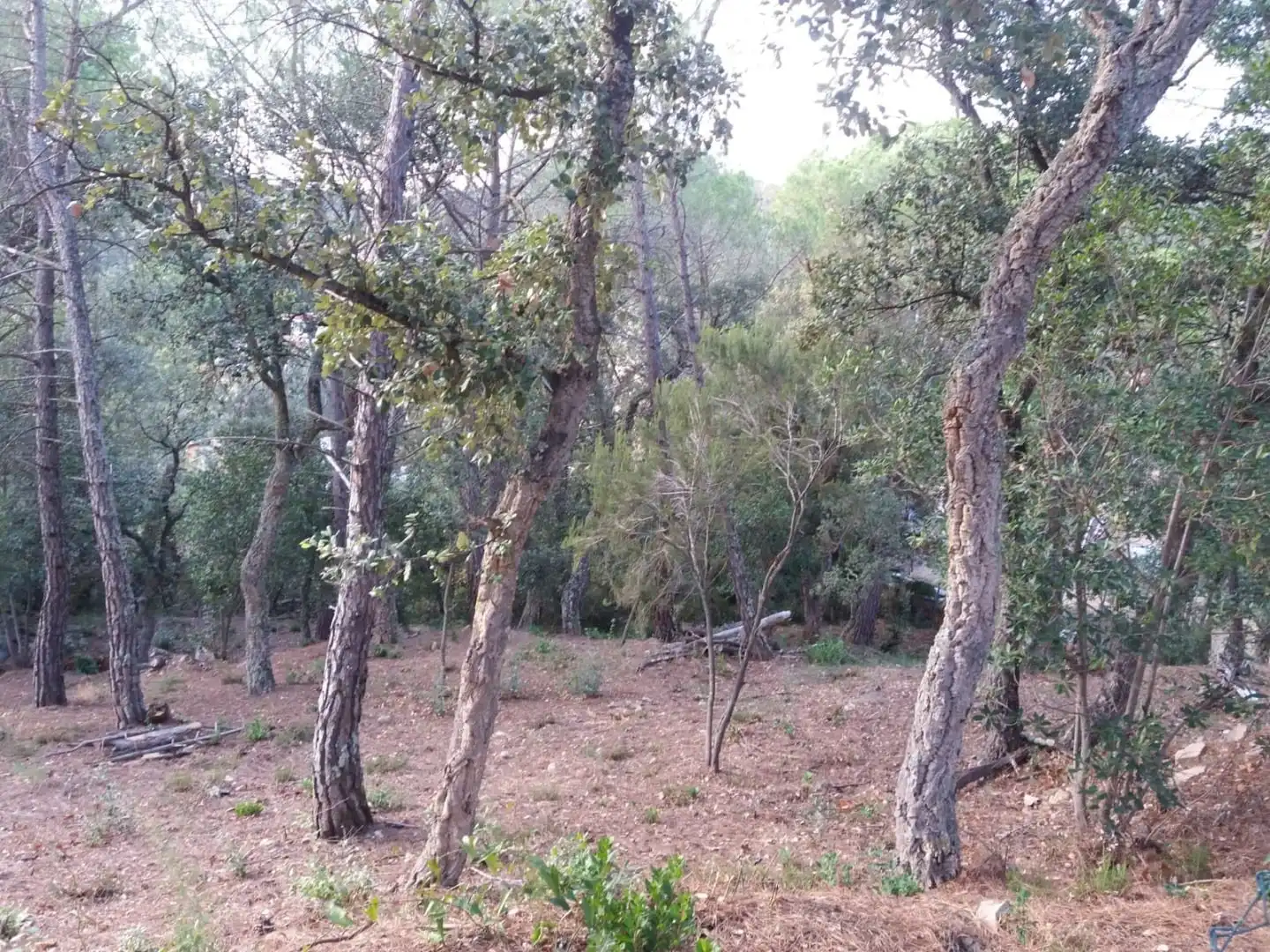 Terreno residencial en venta en Avinguda del Bell-lloc, imagen 16