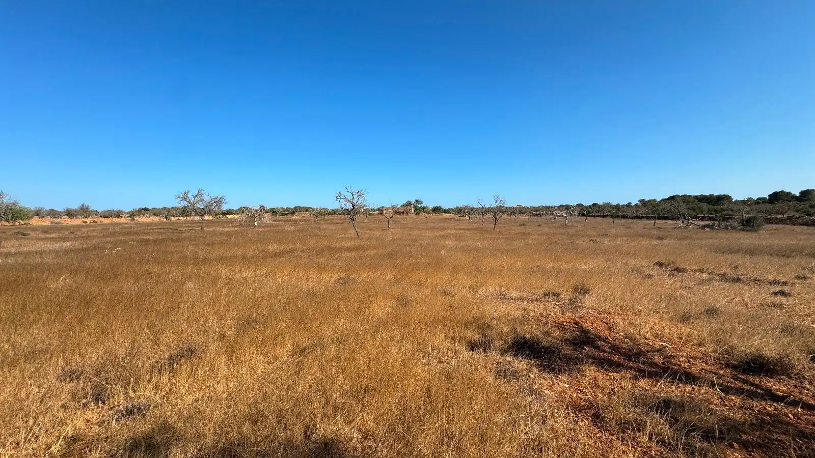 Wohnbaugrundstück zum Verkauf in Ses Salines Poble, imagen 10