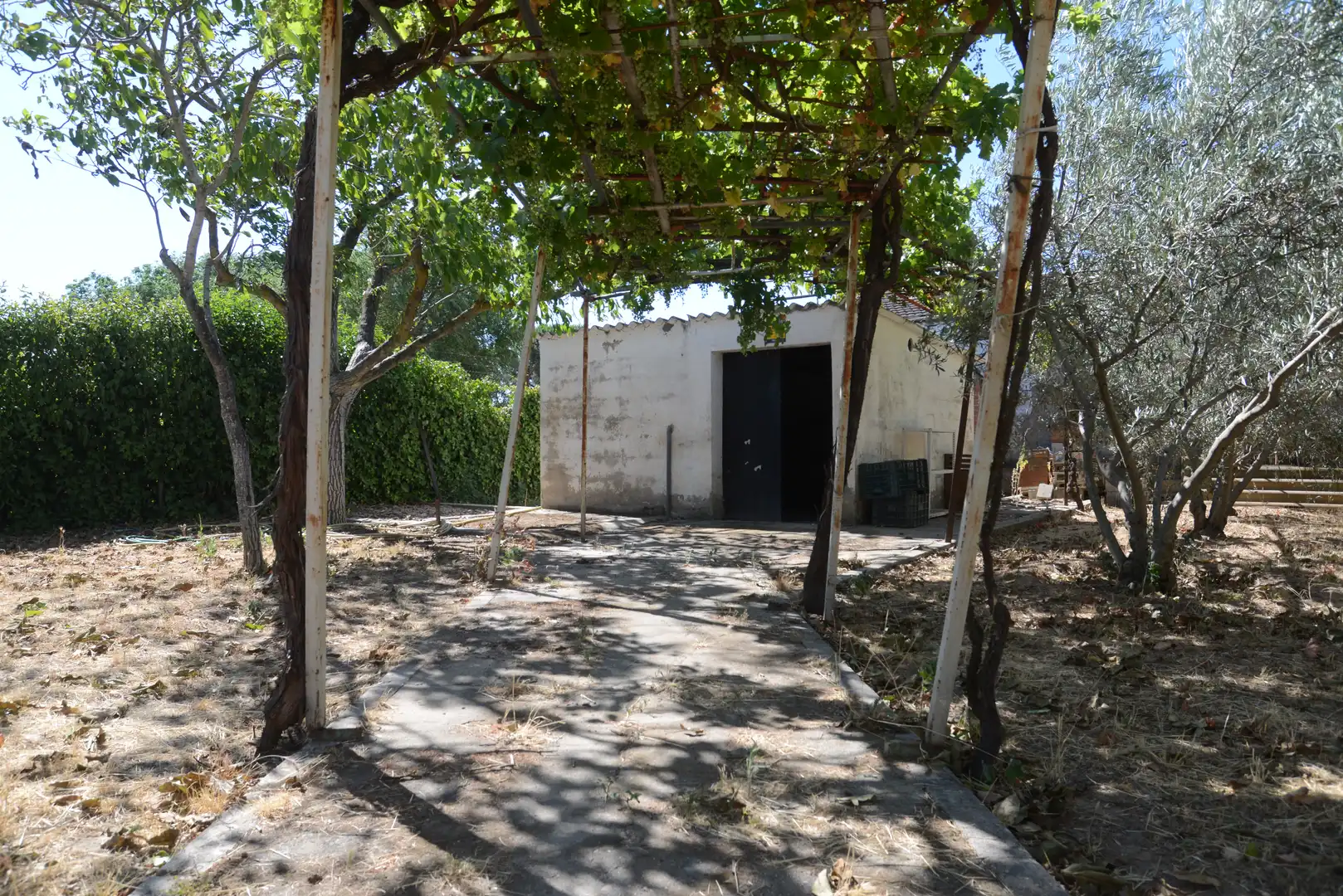 Country house with pool for sale in Fuente El Saz de Jarama, imagen 29