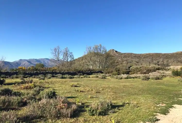 Terreni e lotti in vendita a Jerte