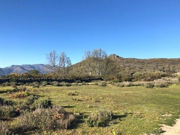 Terrenys i solars en venda a Jerte