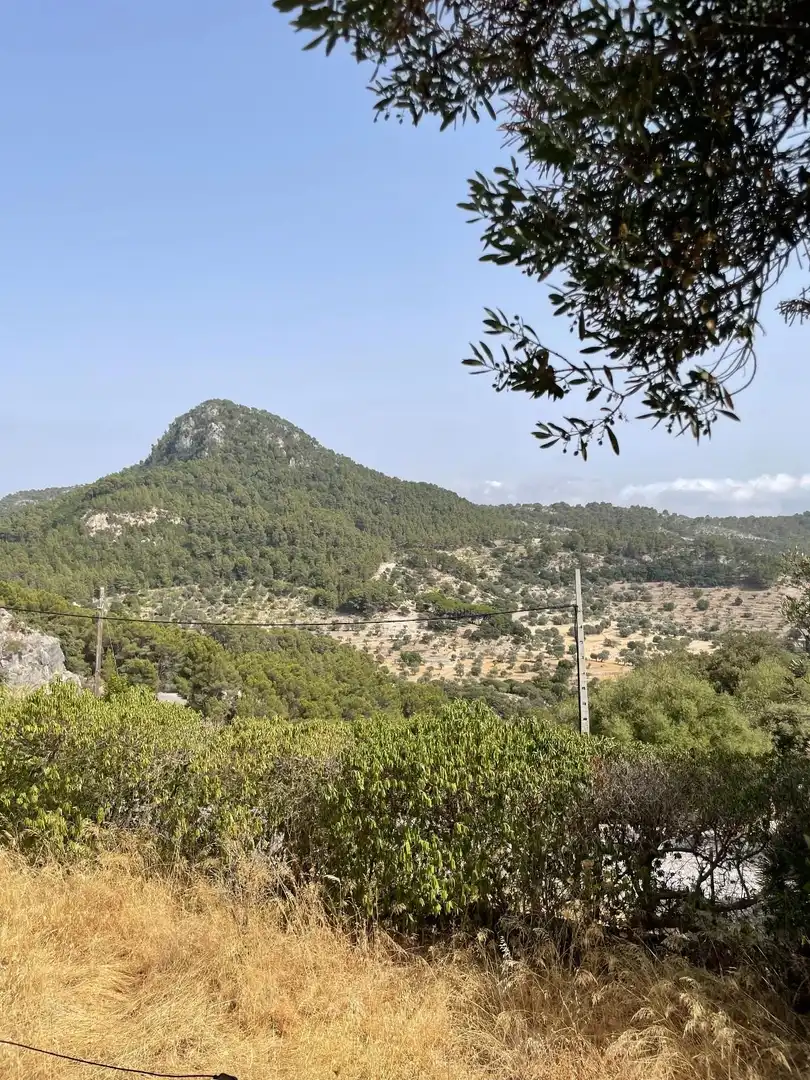 Casa o chalet en venta en Puigpunyent con Calefacción, Jardín privado y Terraza