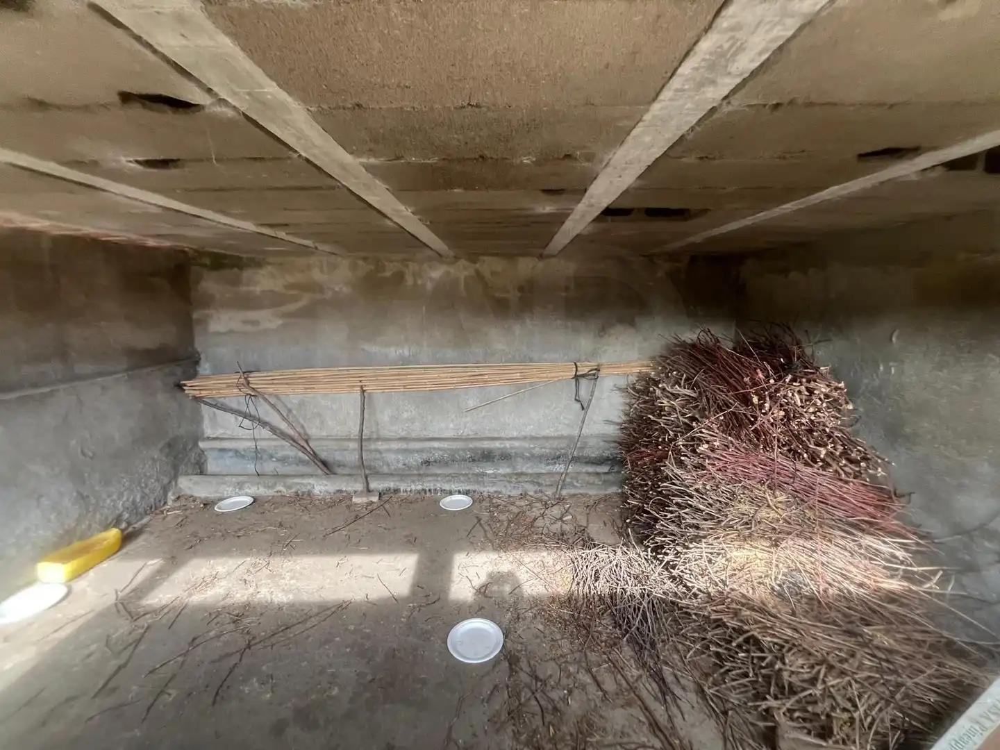 Terreno rustico in vendita a Ciudad Rodrigo, imagen 11