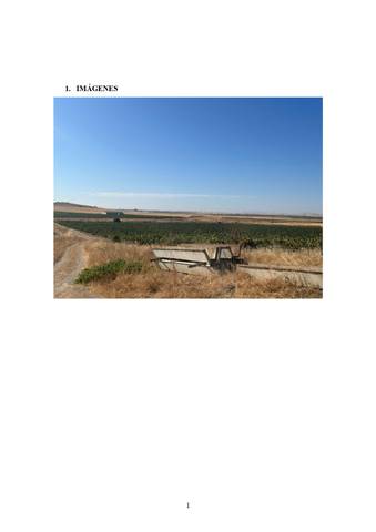 Terreno en Venta en Camino Zafra, 2 en Bienvenida