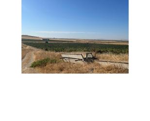 Land for sale in Bienvenida