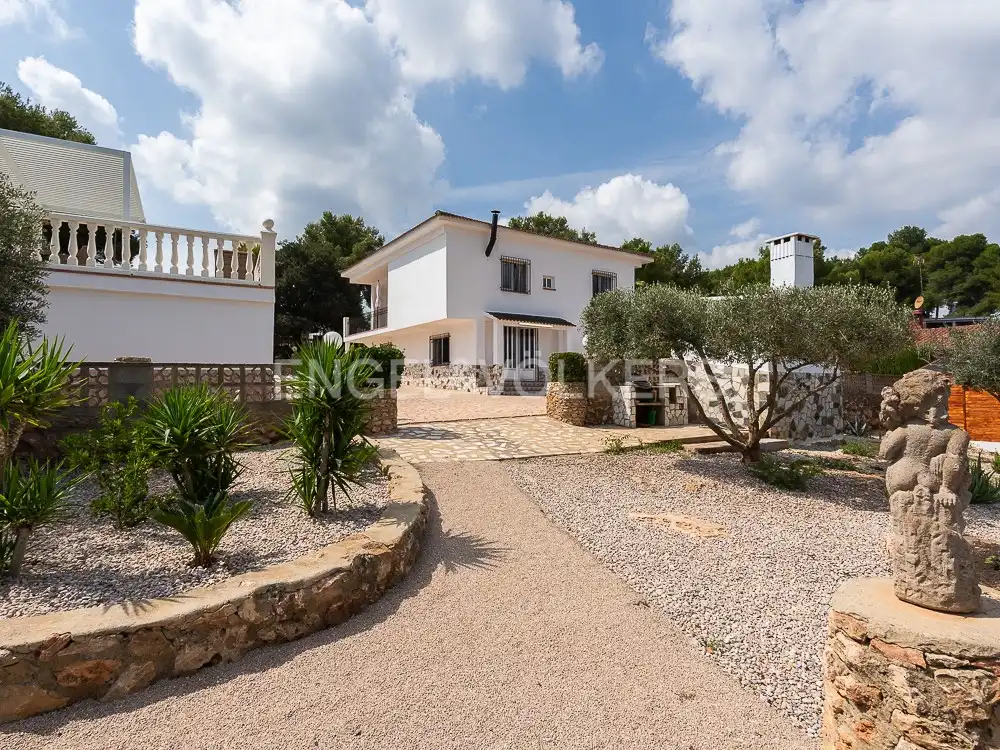 Vista exterior de Casa o xalet en venda en Alberic amb Aire condicionat, Calefacció i Jardí privat