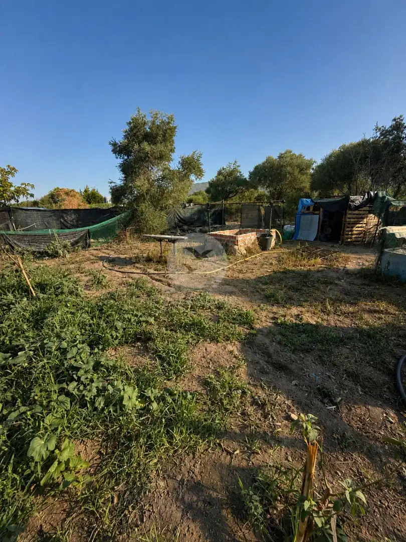 Rural land for sale in Pau, imagen 11