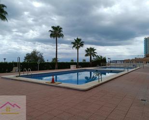 Swimming pool of Planta baja for sale in Oropesa del Mar / Orpesa  with Terrace and Swimming Pool