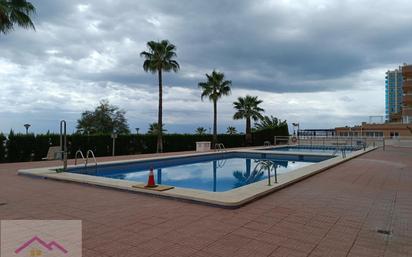 Swimming pool of Planta baja for sale in Oropesa del Mar / Orpesa  with Terrace and Swimming Pool