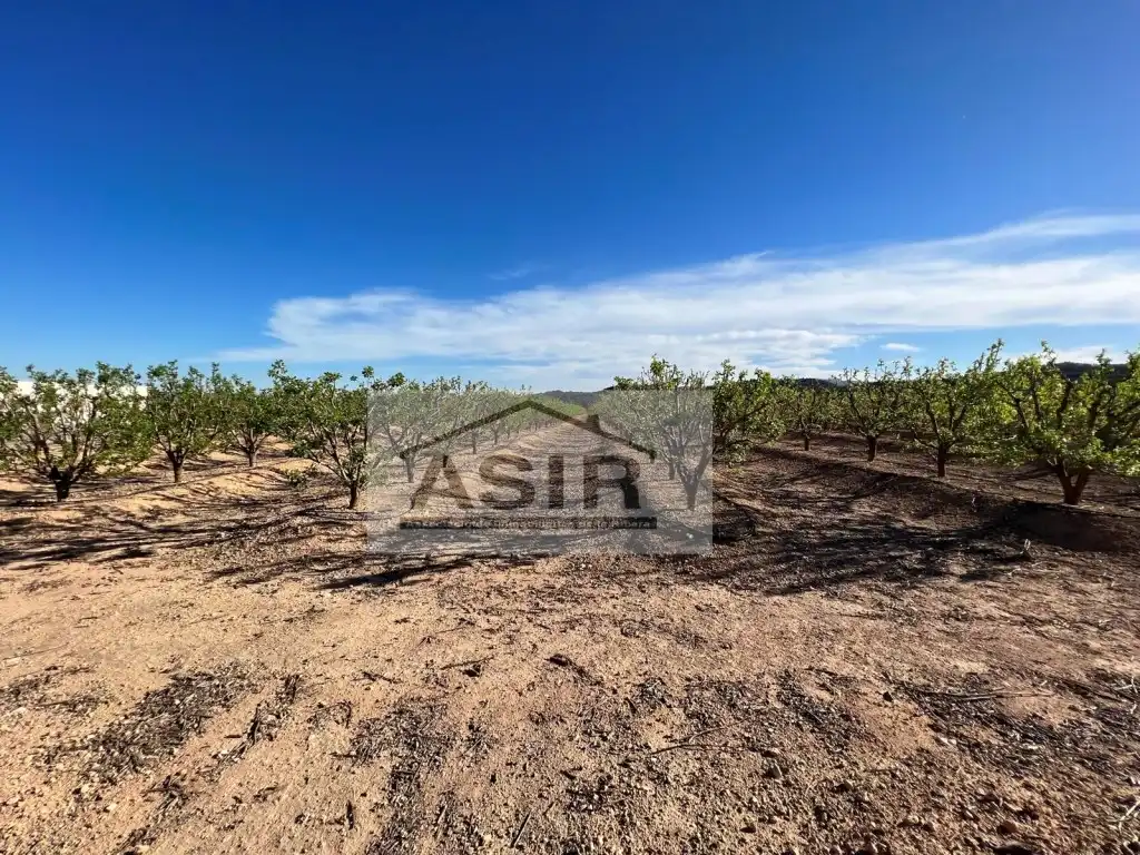 Detached house for sale in Montroi / Montroy, imagen 40