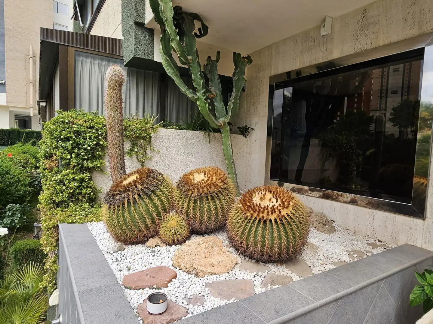 Piso con piscina en venta en Levante Alto, imagen 29
