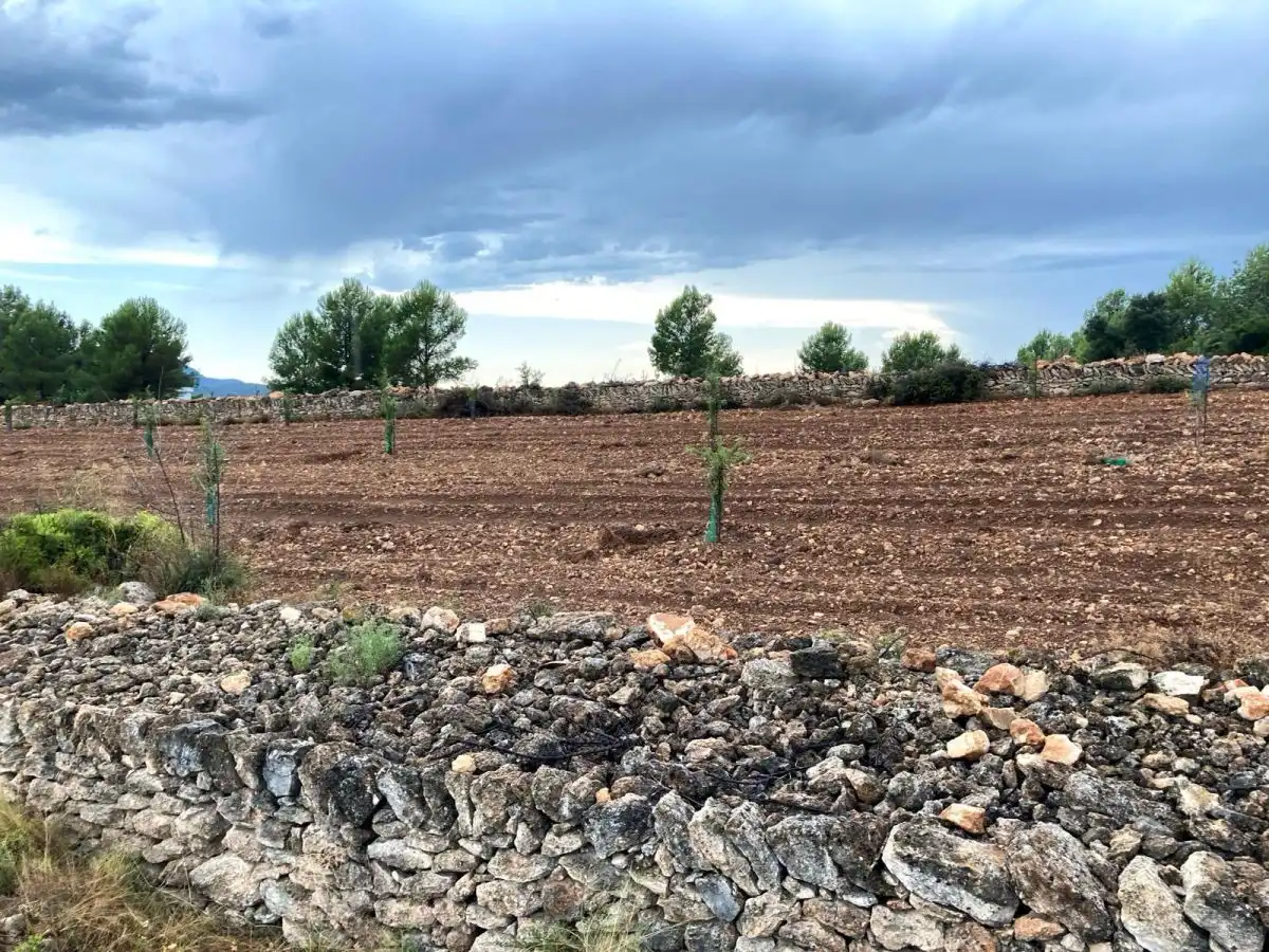 Residencial en venda en Vilafamés