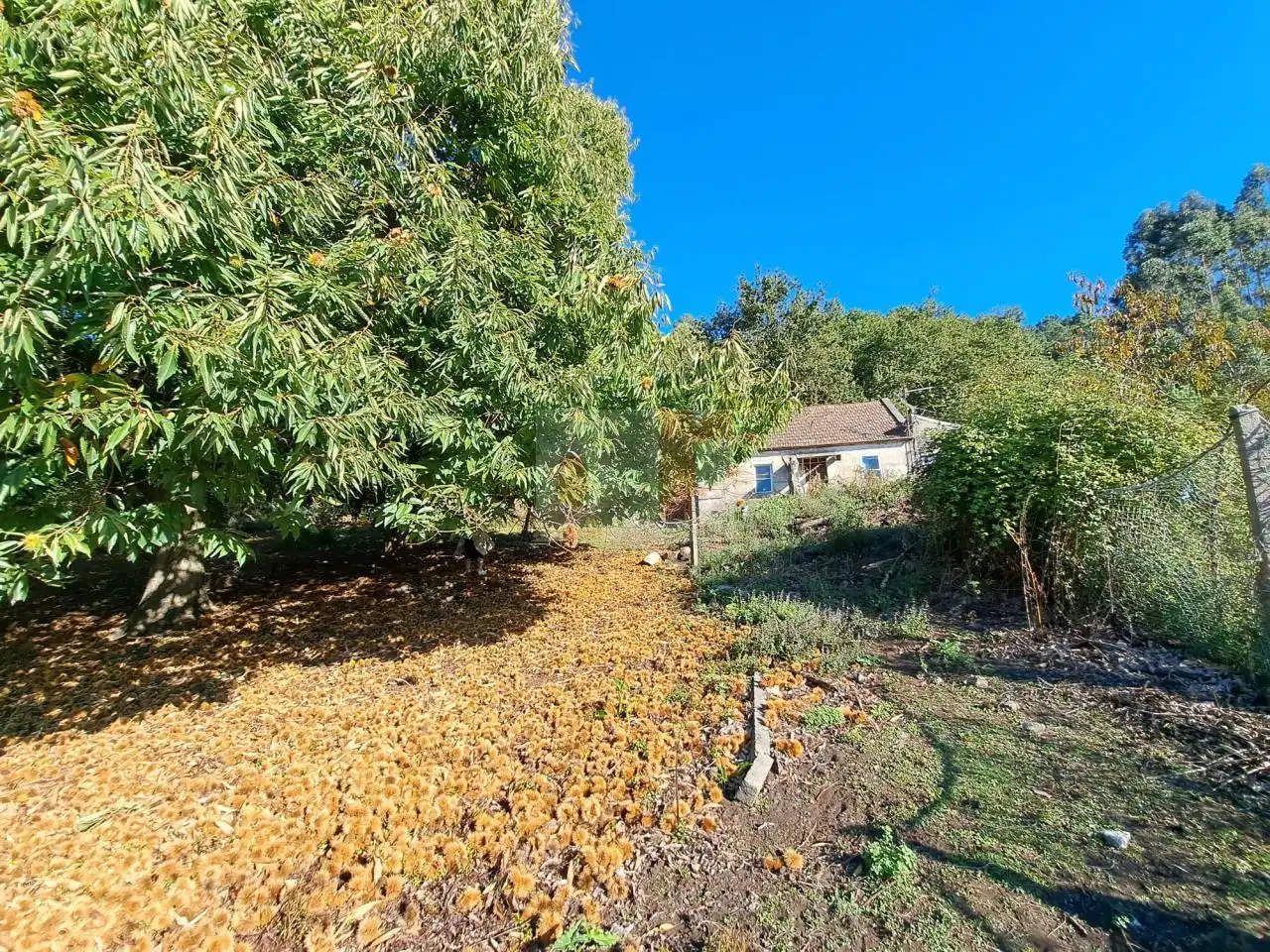 Casa rústica amb jardí en venda a Moaña