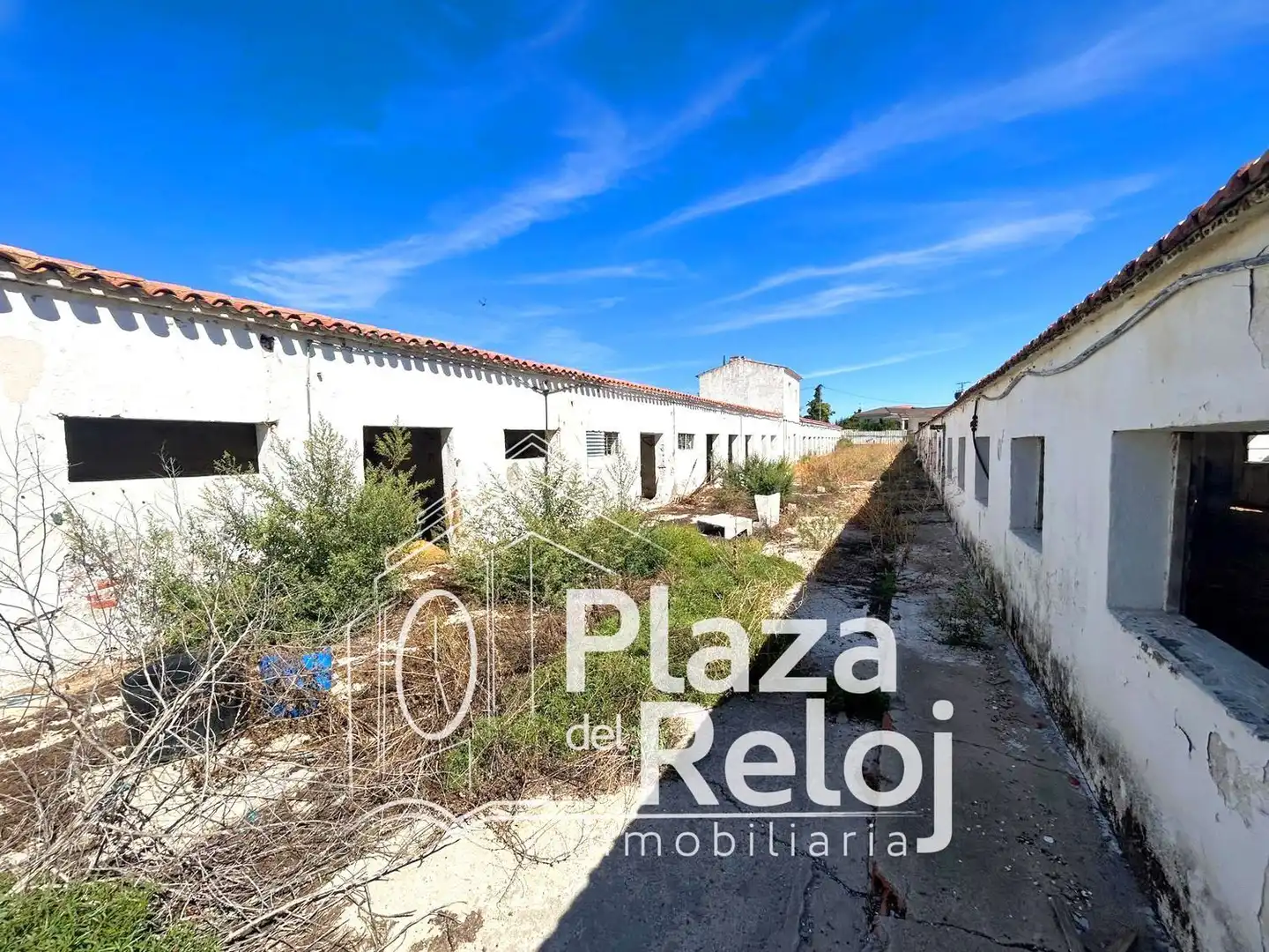 Land for sale in Pepino