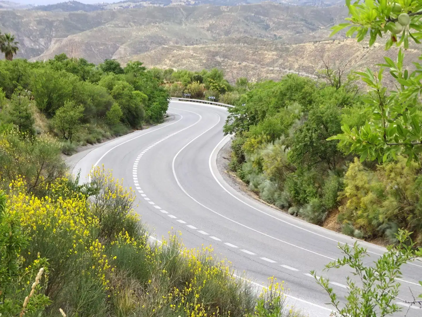 Lands and plots for sale in Pinos Genil, imagen 15