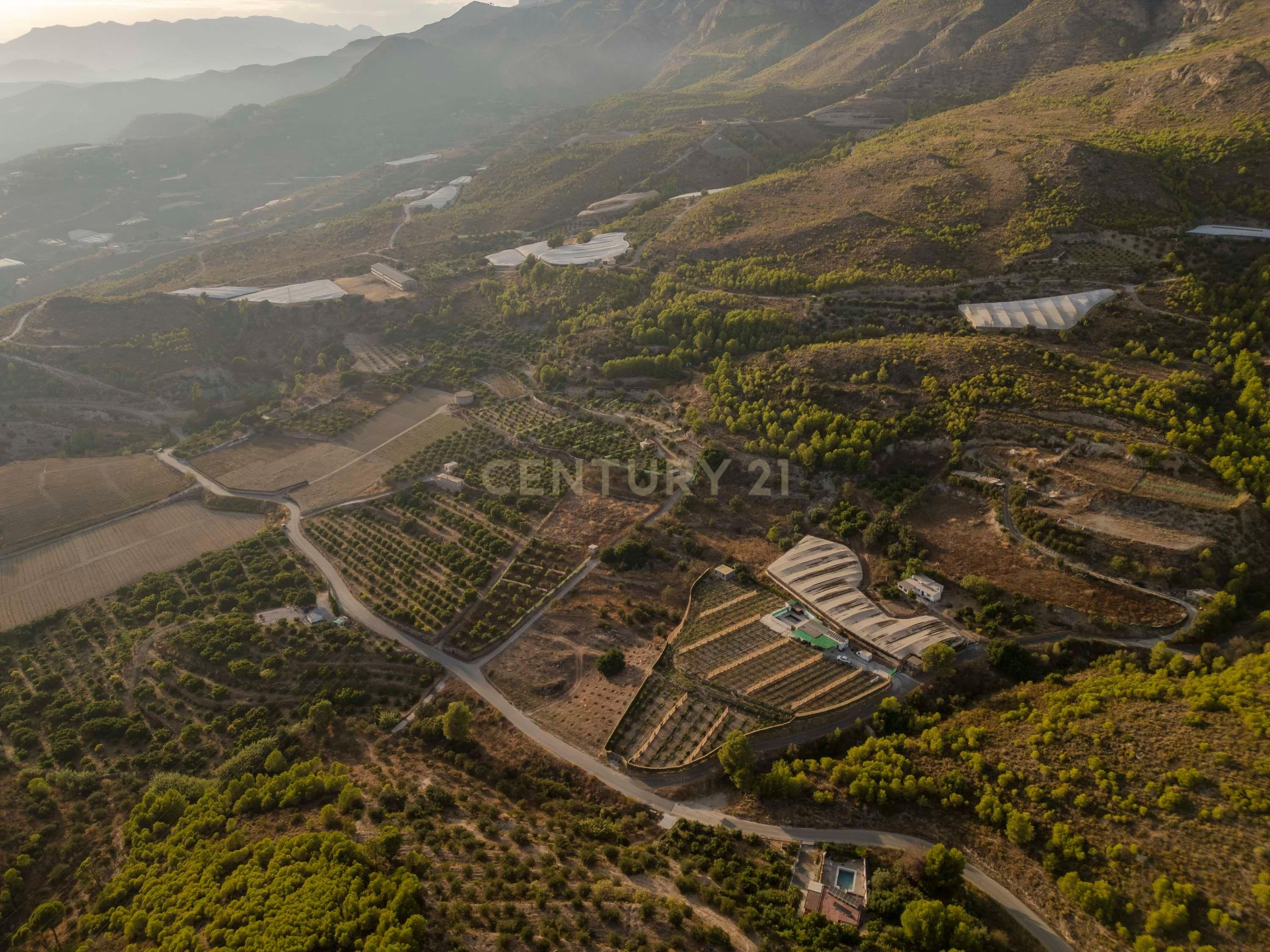 Land for sale in Molvízar