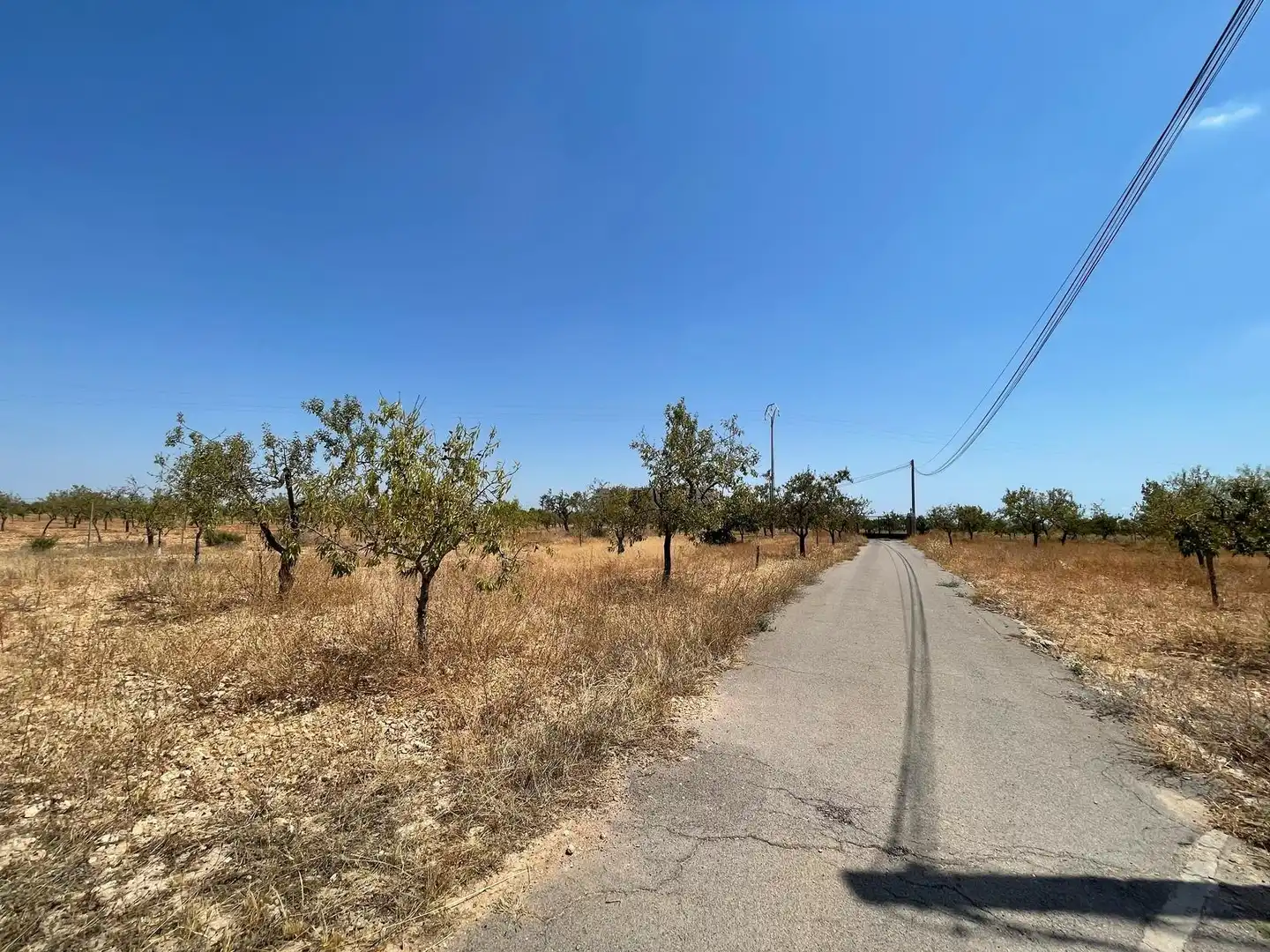 Casa rústica con piscina en venta en Pedanías Oeste, imagen 73