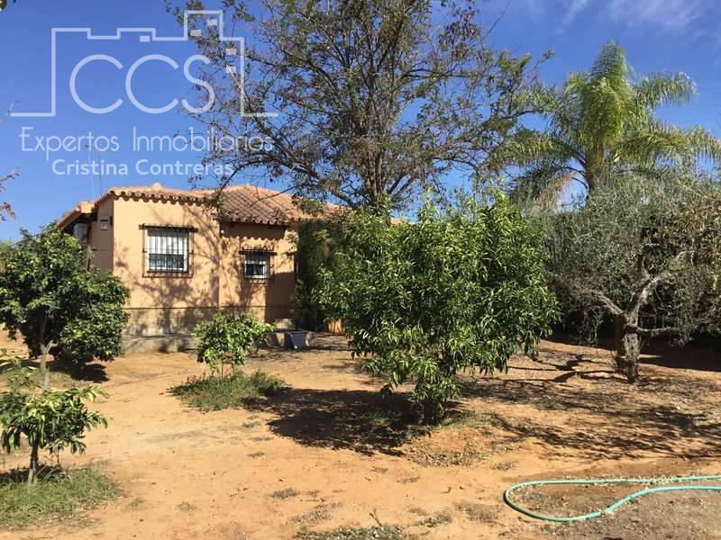 Exterior view of Country house for sale in Aznalcázar  with Air Conditioner, Private garden and Storage room