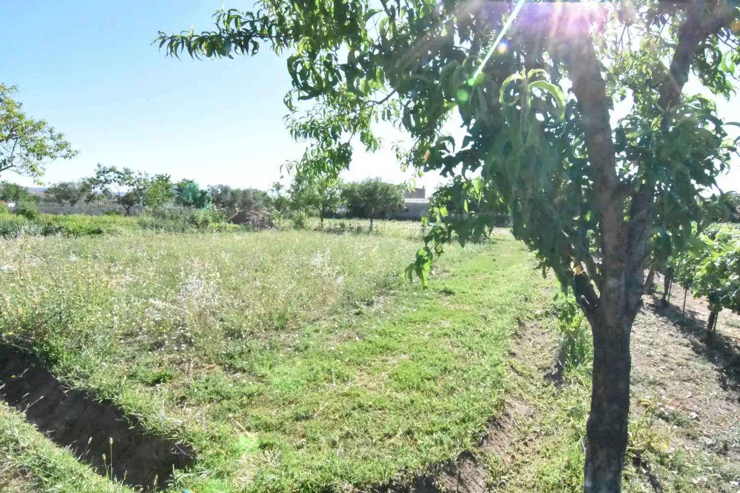 Finca rústica en venta en Ciudad Rodrigo