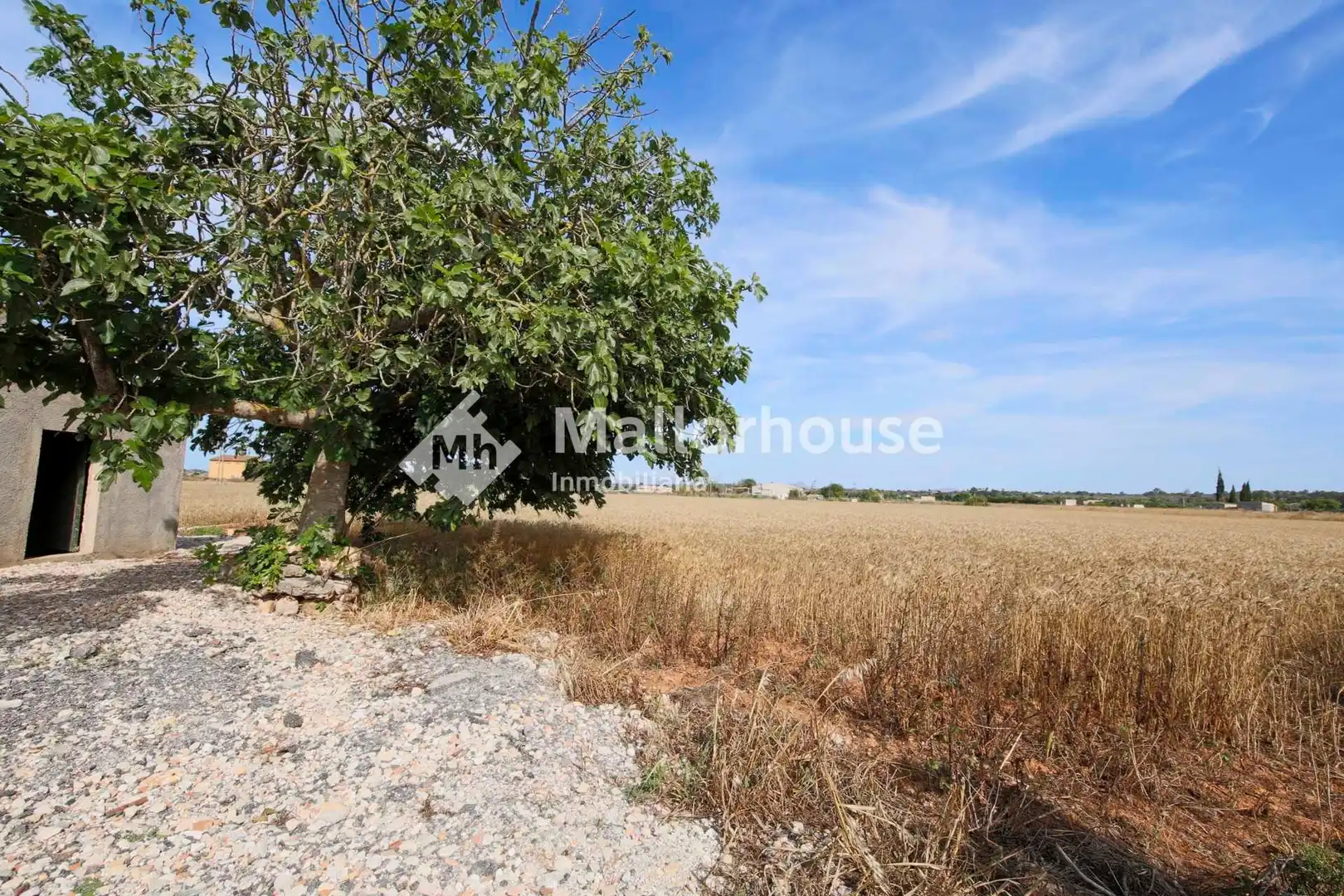Lands and plots for sale in Polígono 10, imagen 12