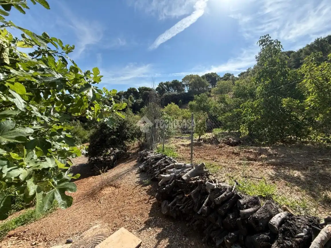 Finca rústica en venda en Jaén amb Jardí privat i Piscina