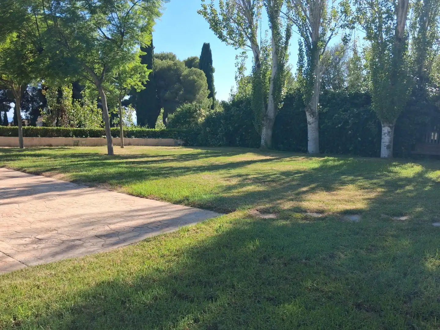 Rez-de-chaussée avec piscine à vendre à Carrer Francesc Mas Ros-Masos 10, imagen 13