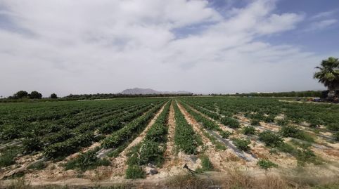 Terreno 30000 metros en El realengo, imatge 3