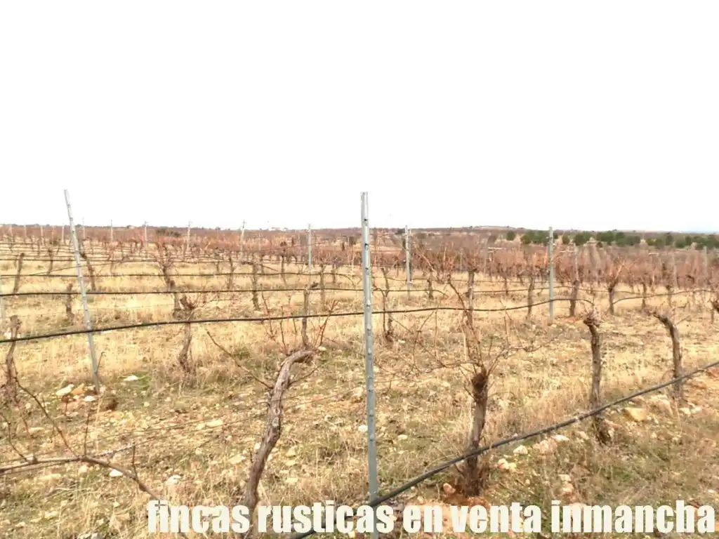 Terreni e lotti in vendita a Sonseca, imagen 9