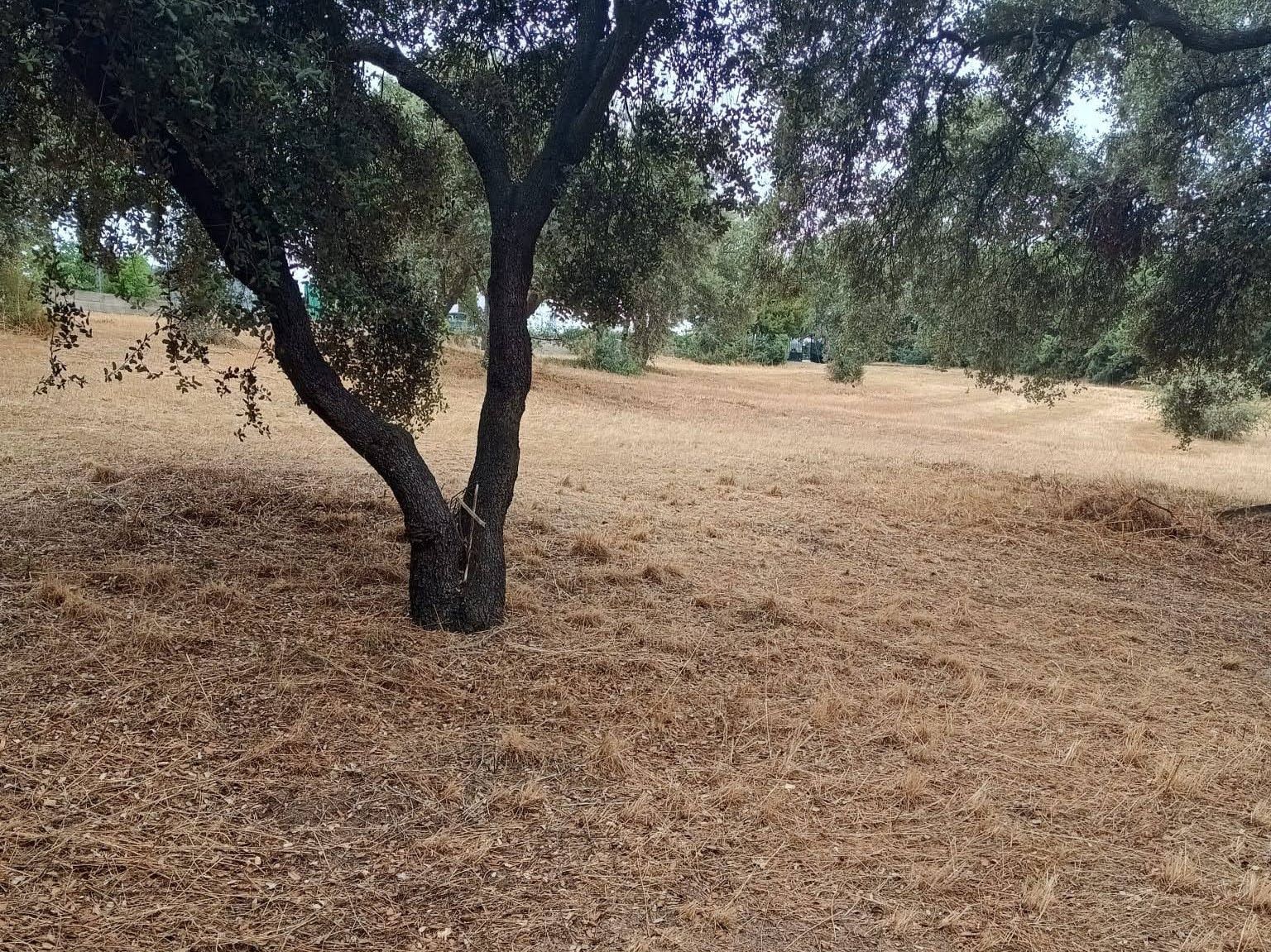 Residential zum verkauf in Calle Carril Antiguo, Sevilla la Nueva