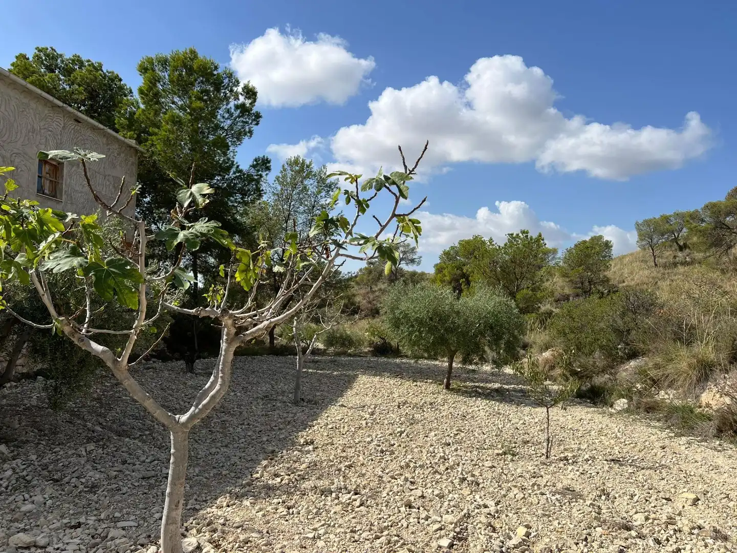 Casa rústica amb jardí en venda a cañada de la leña, imagen 16
