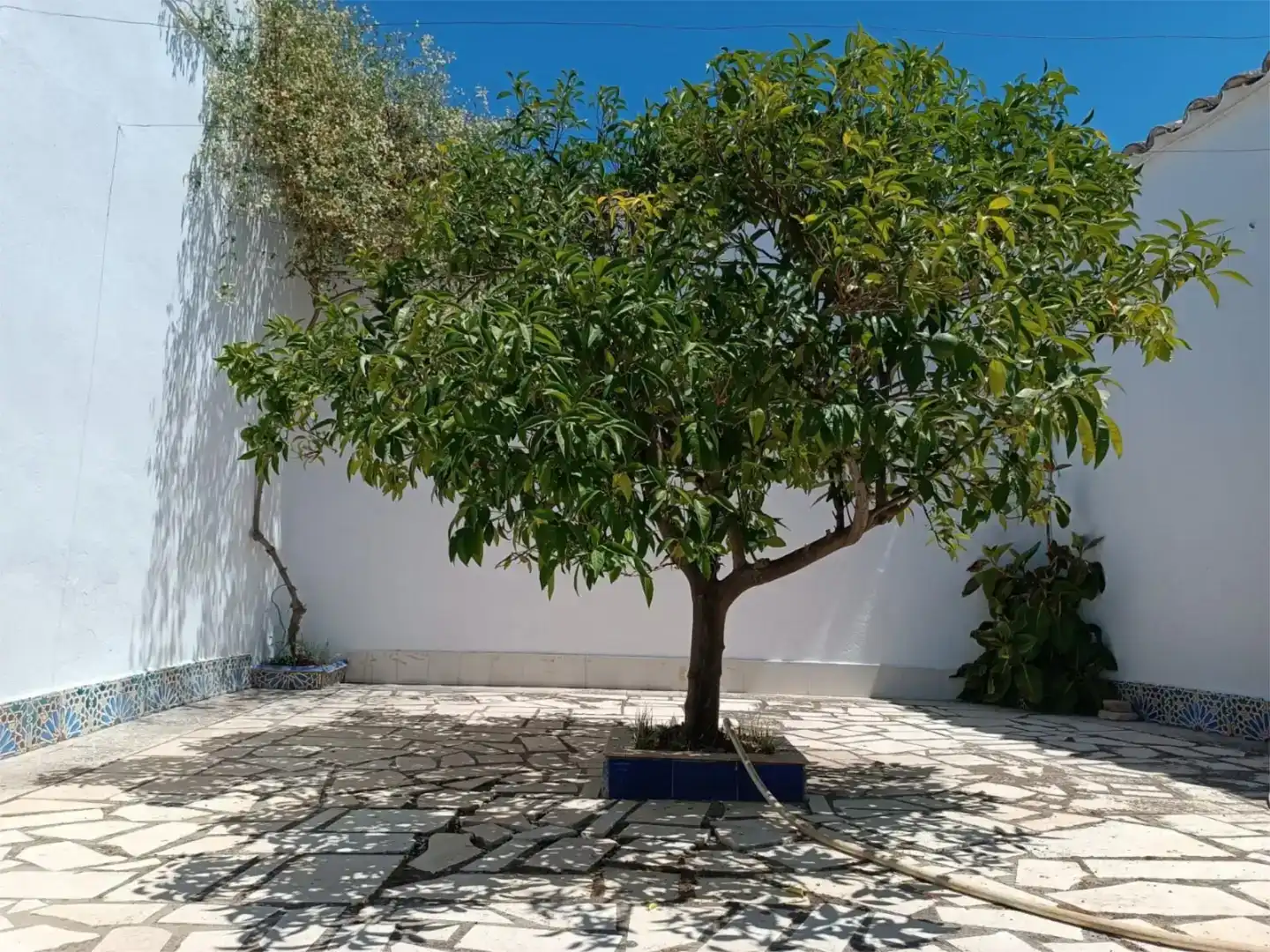 Jardín de Piso en venta en Montilla