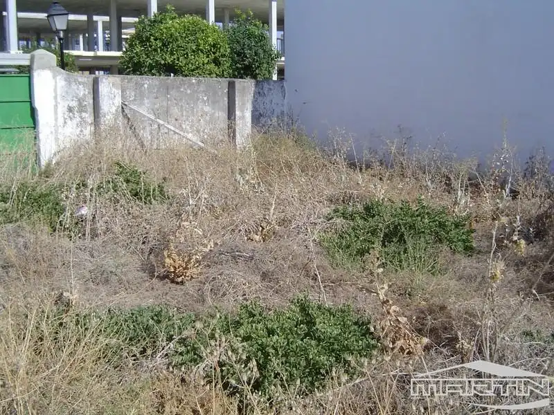 Terrenos y solares en venta en Navas del Sepillar, imagen 10