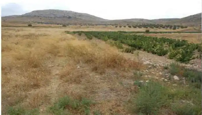 Rustikales Grundstück zum Verkauf in Paraje Torre de Rico, imagen 5