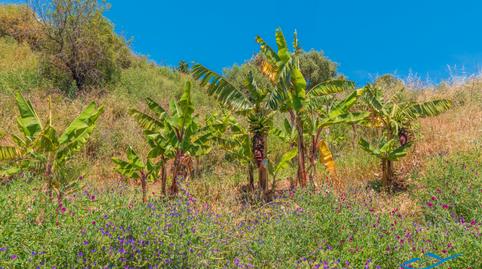 Foto 4 de Terreny en venda a Altos de Estepona, Málaga